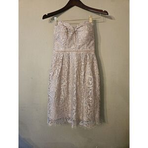 Jenny‎ Yoo 'Hudson' Metallic Lace Sheath Dress Sz 2 Sleeveless Champagne